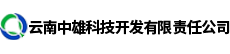 某某有限责任公司